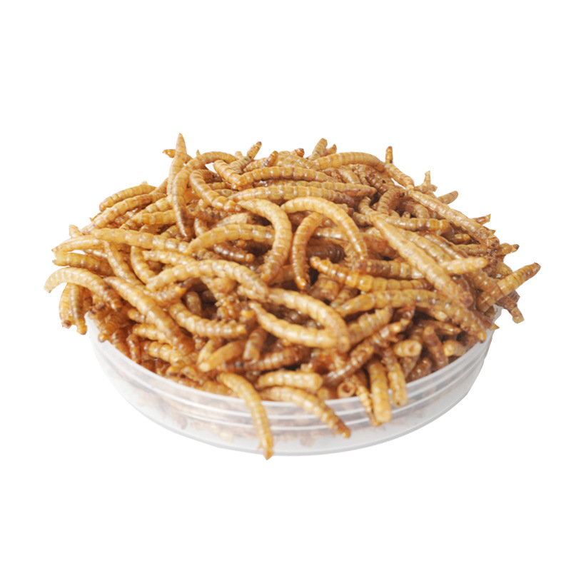 Food Protein Snacks - Friandises Riches en Protéines pour Hamsters,
